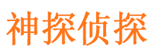 沙雅调查公司